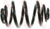 BMW 33539071018 Coil Spring